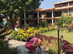 Gallery Image Of Chautari Garden Resort