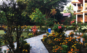 Gallery Image Of Chautari Garden Resort