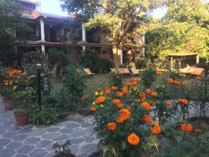 Gallery Image Of Chautari Garden Resort