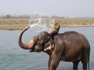 Gallery Image Of Chautari Garden Resort