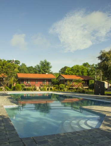 Gallery Image Of Jungle World Resort