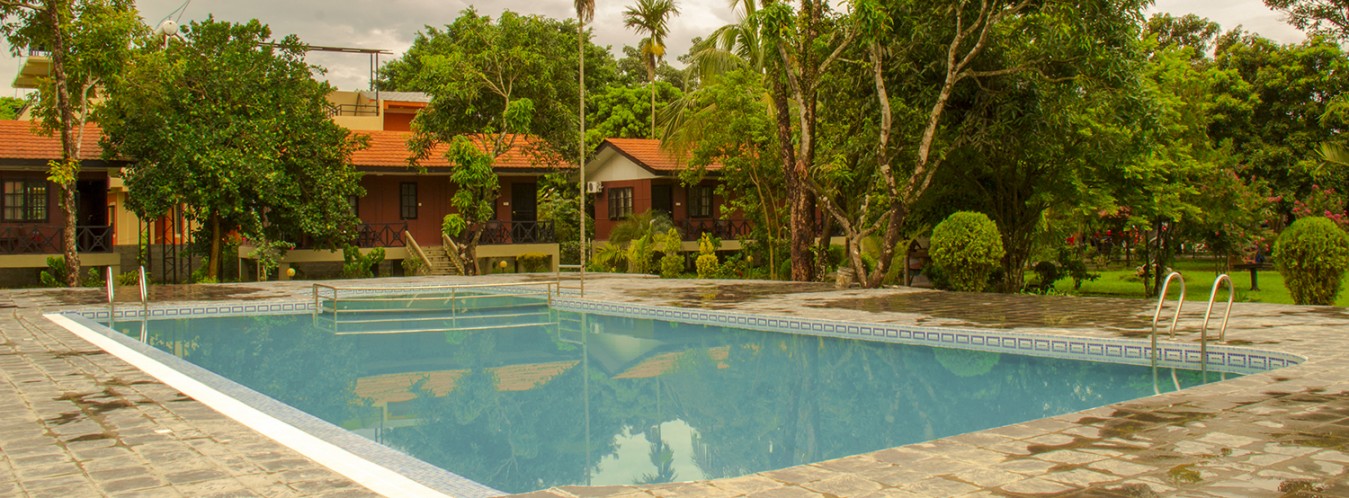 Gallery Image Of Jungle World Resort