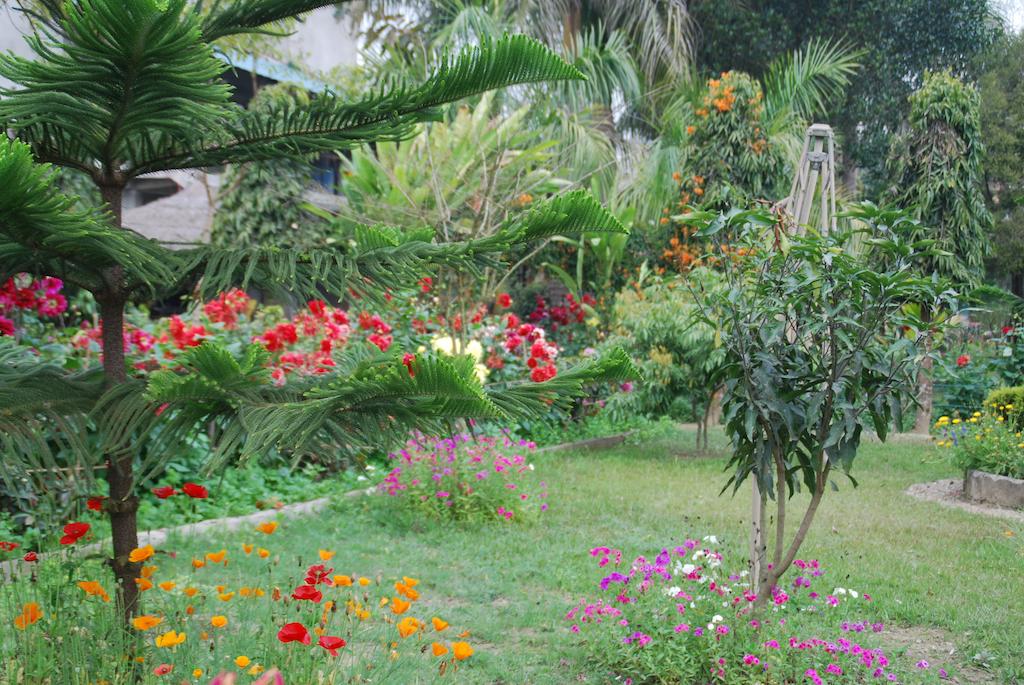 Gallery Image Of Jungle World Resort