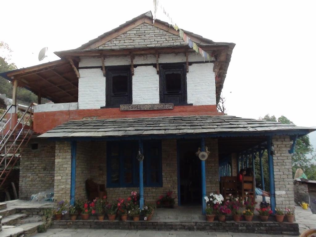 Gallery Image Of Sauraha Homestay Nepal