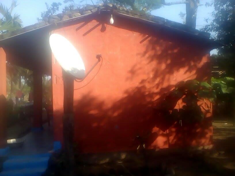 Gallery Image Of Sauraha Homestay Nepal