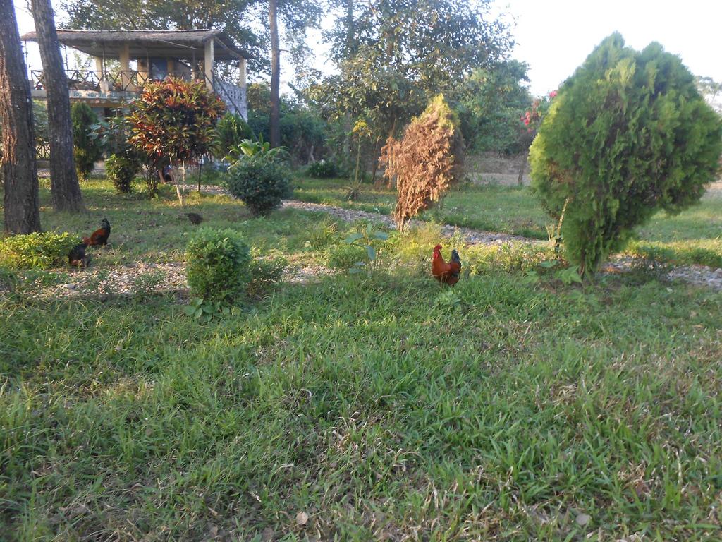 Gallery Image Of Sauraha Homestay Nepal