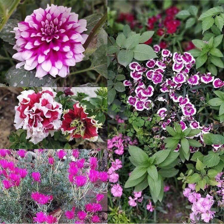 Gallery Image Of Hotel Satyam 