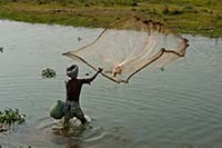 Gallery Image Of Tharu Community Homestay
