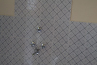 Gallery Image Of Tharu Community Homestay