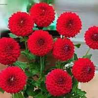 Gallery Image Of Subidha Guest House