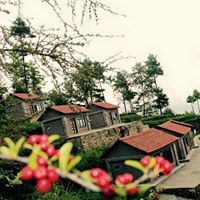 Gallery Image Of Hotel Sungava - Orchid Resort