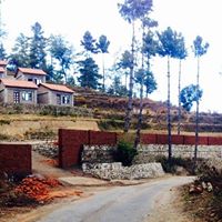 Gallery Image Of Hotel Sungava - Orchid Resort