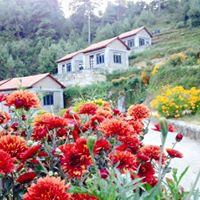 Gallery Image Of Hotel Sungava - Orchid Resort