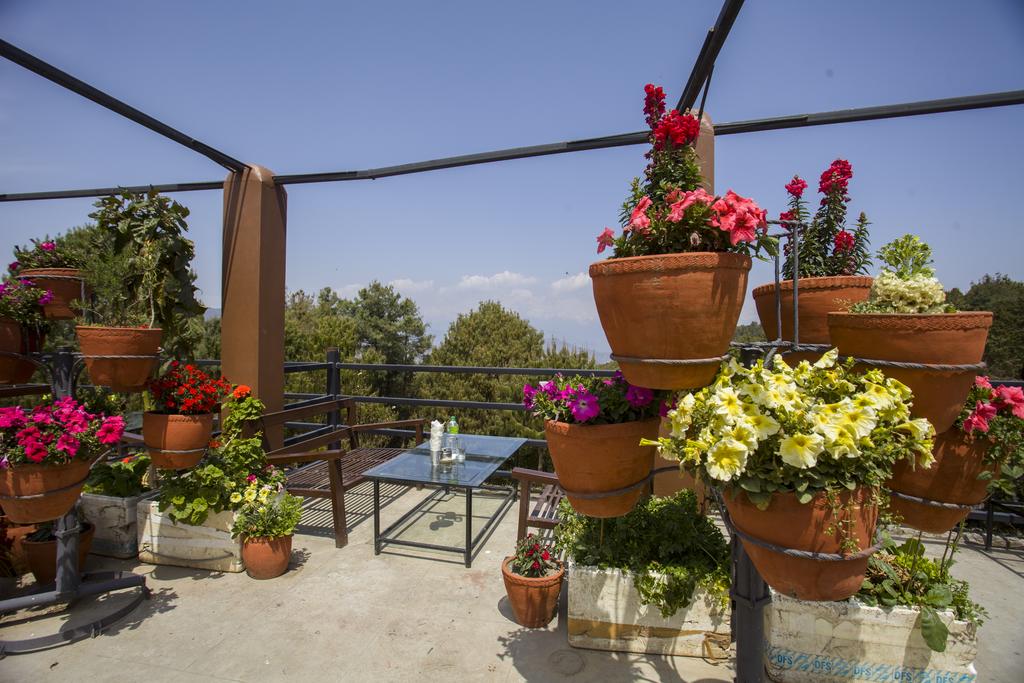 Gallery Image Of Langtang View Nagrakot Bed and Breakfast