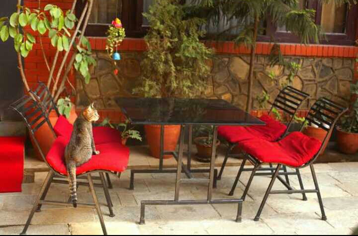 Gallery Image Of Hotel Atlantic Pvt Ltd