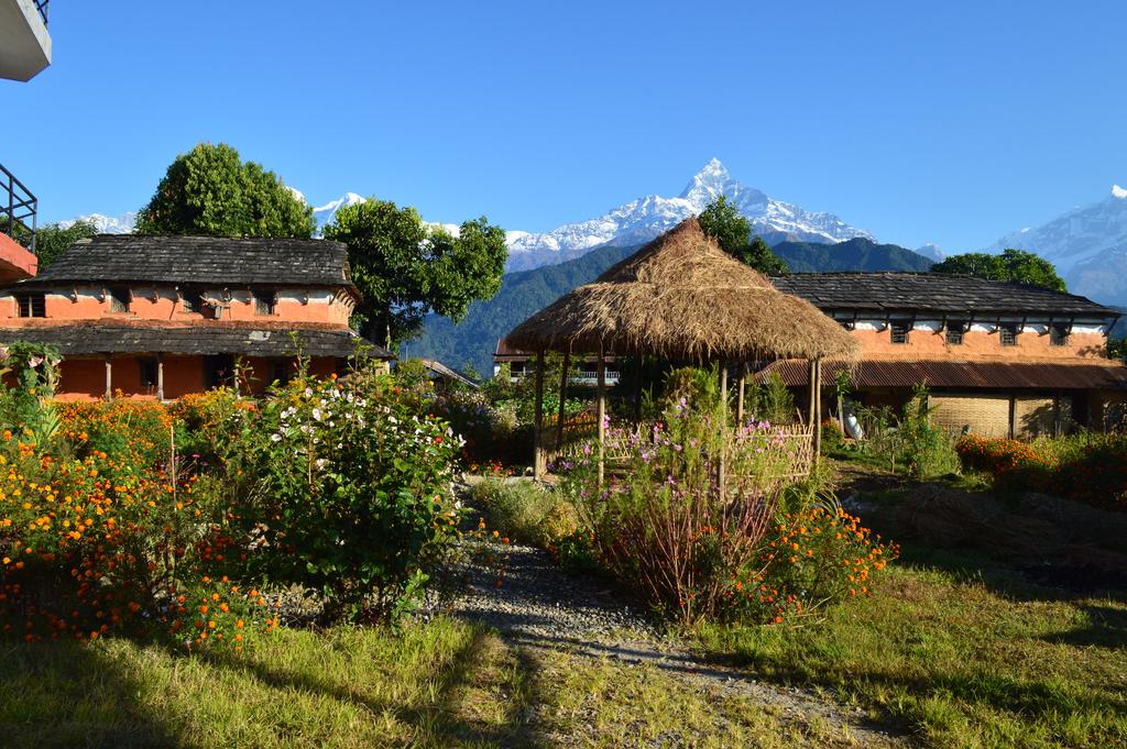 Gallery Image Of Mystique Highland Resort
