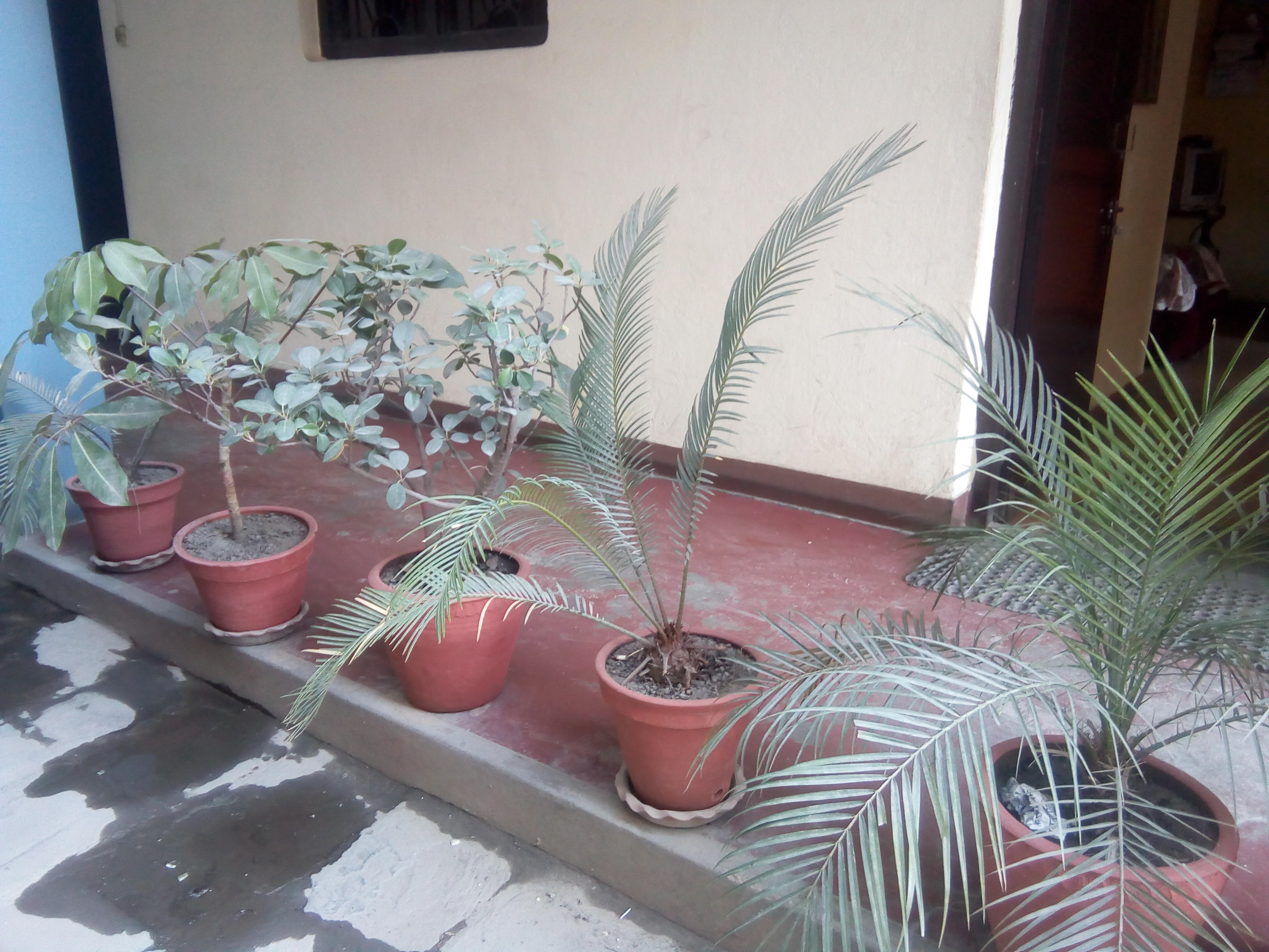 Gallery Image Of Hotel KAILASH PARBAT P.LTD