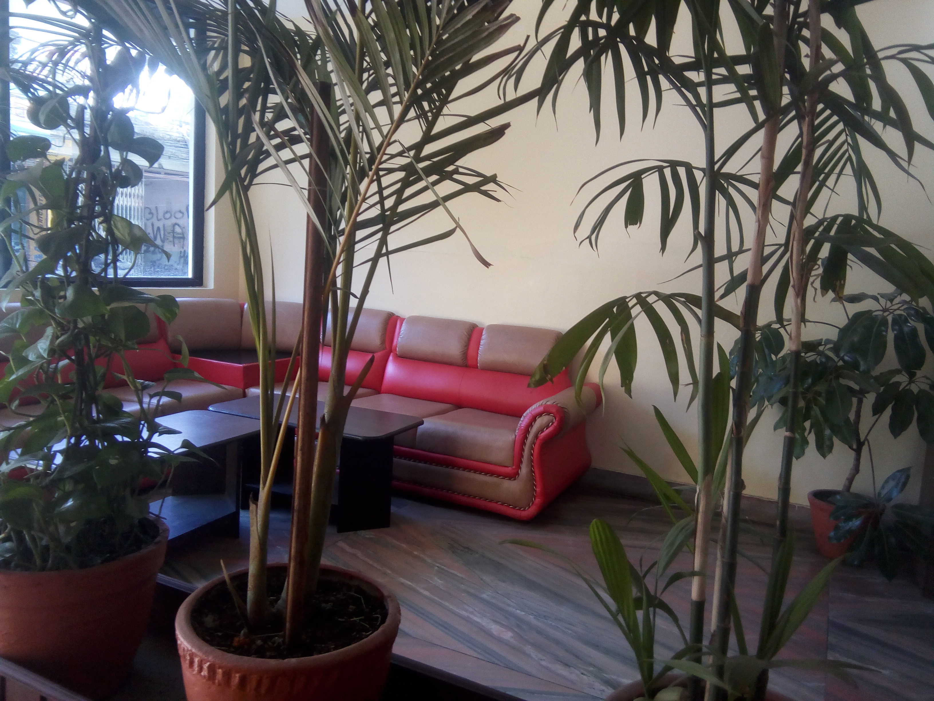 Gallery Image Of RESUNGA RAINBOW guest house