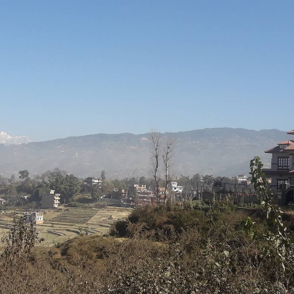 Gallery Image Of Palace resort