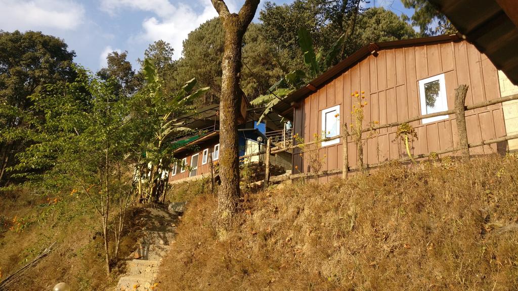 Jungle Crown Organic Homestay