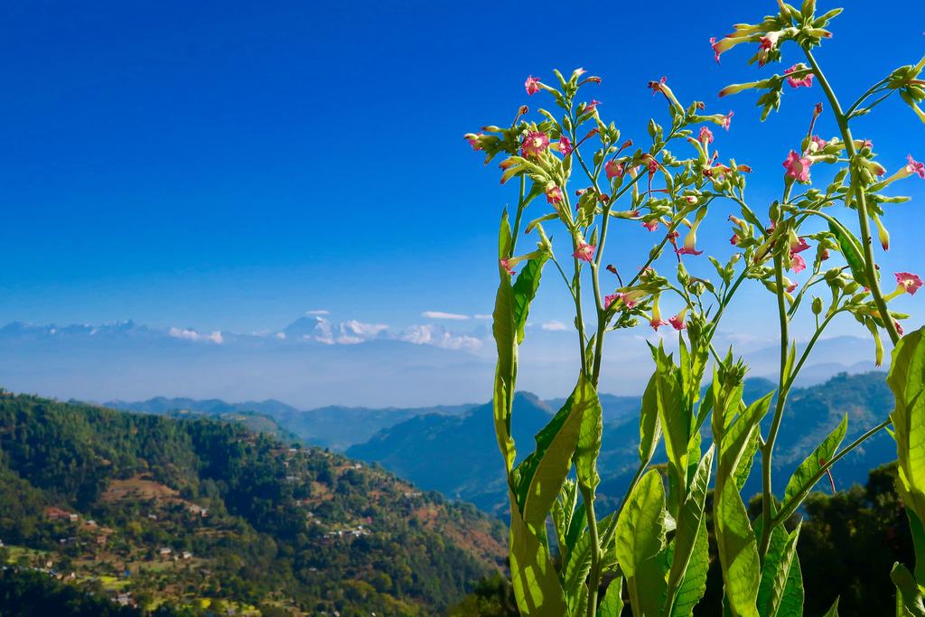 Gallery Image Of Bethanchowk Village Community Homestay