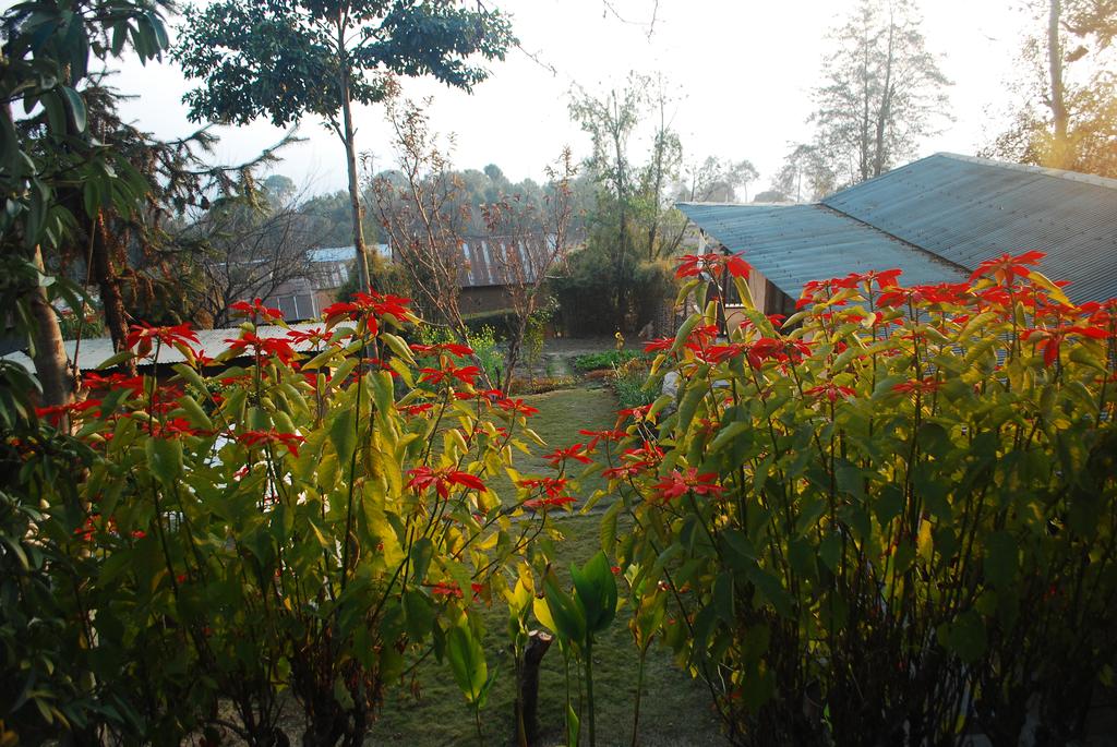 Gallery Image Of Shivapuri Retreat
