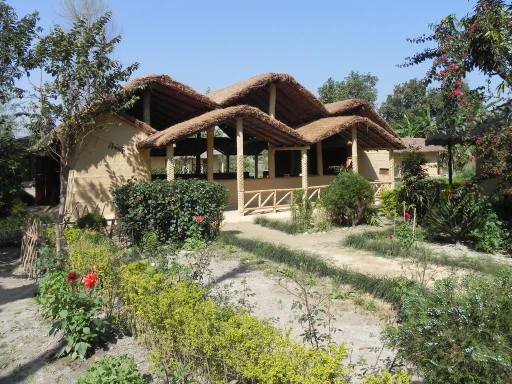 Gallery Image Of Racy Shad Resort