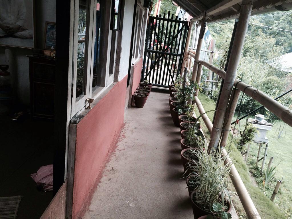 Gallery Image Of Earth (Mud) House