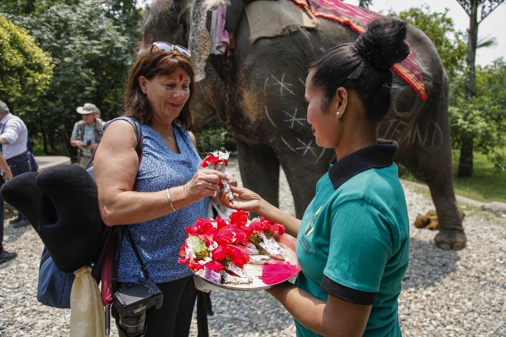 Gallery Image Of Tigerland Safari Resort