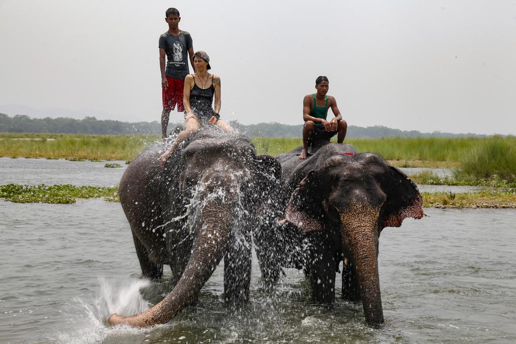 Gallery Image Of Tigerland Safari Resort