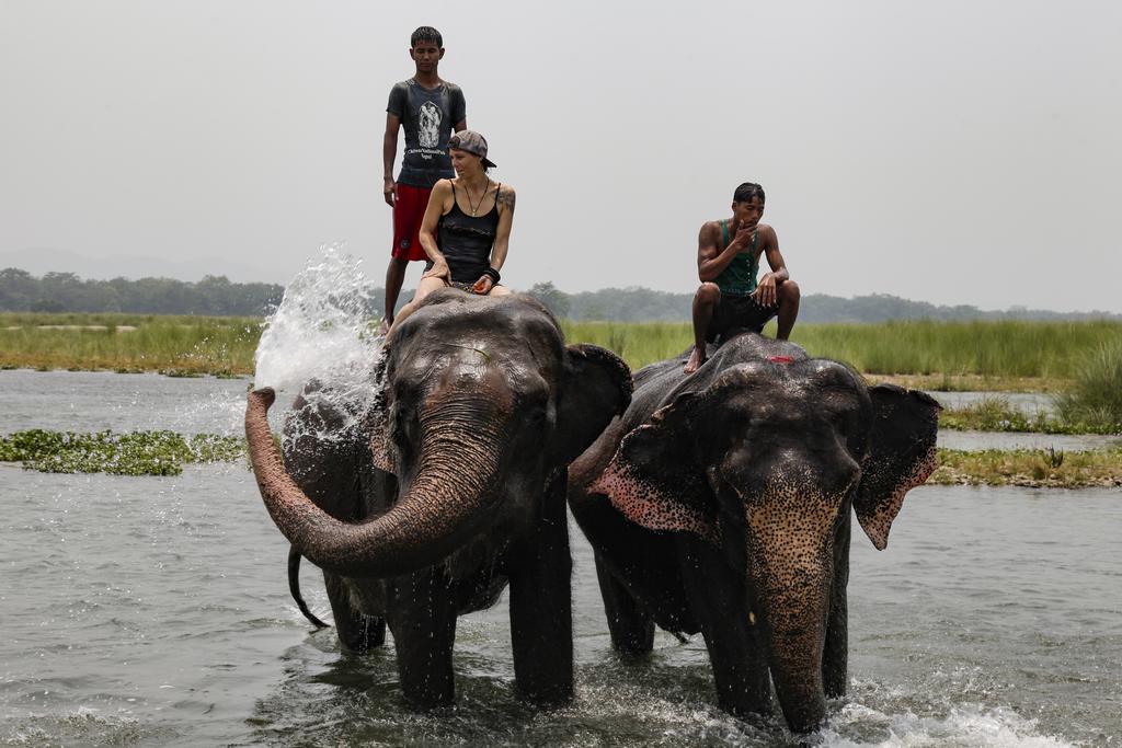 Gallery Image Of Tigerland Safari Resort