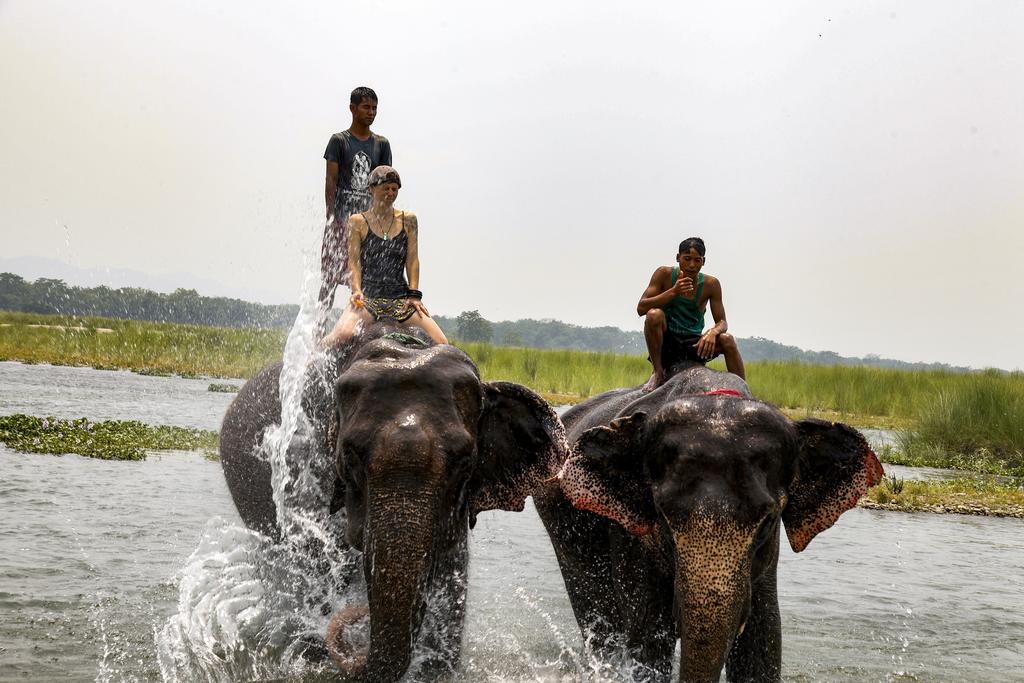 Gallery Image Of Tigerland Safari Resort