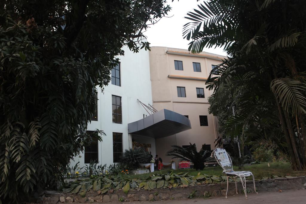 Gallery Image Of Central Palms Hotel 