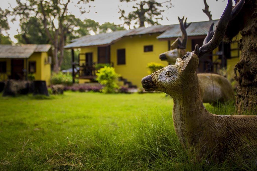 Safari Adventure Lodge