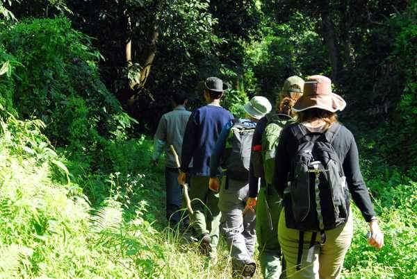 Gallery Image Of Hotel Sauraha Durbar 