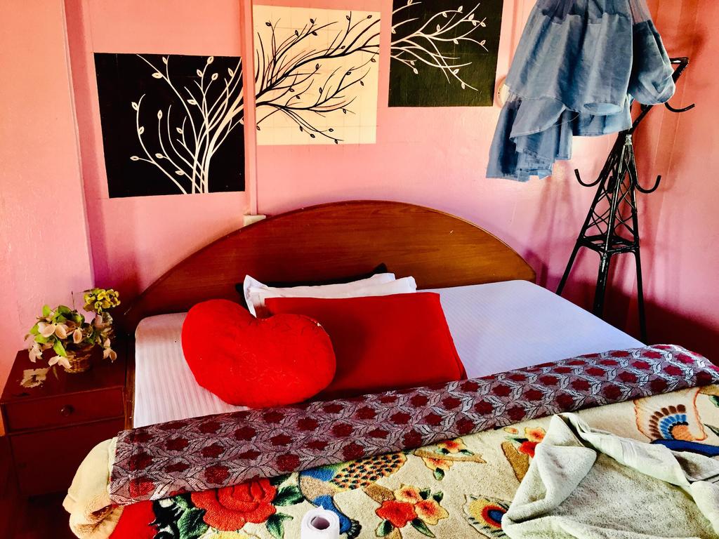 Gallery Image Of Safari Wildlife Lodge And Camp