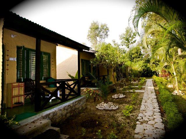 Gallery Image Of  Wild Trak Adventure