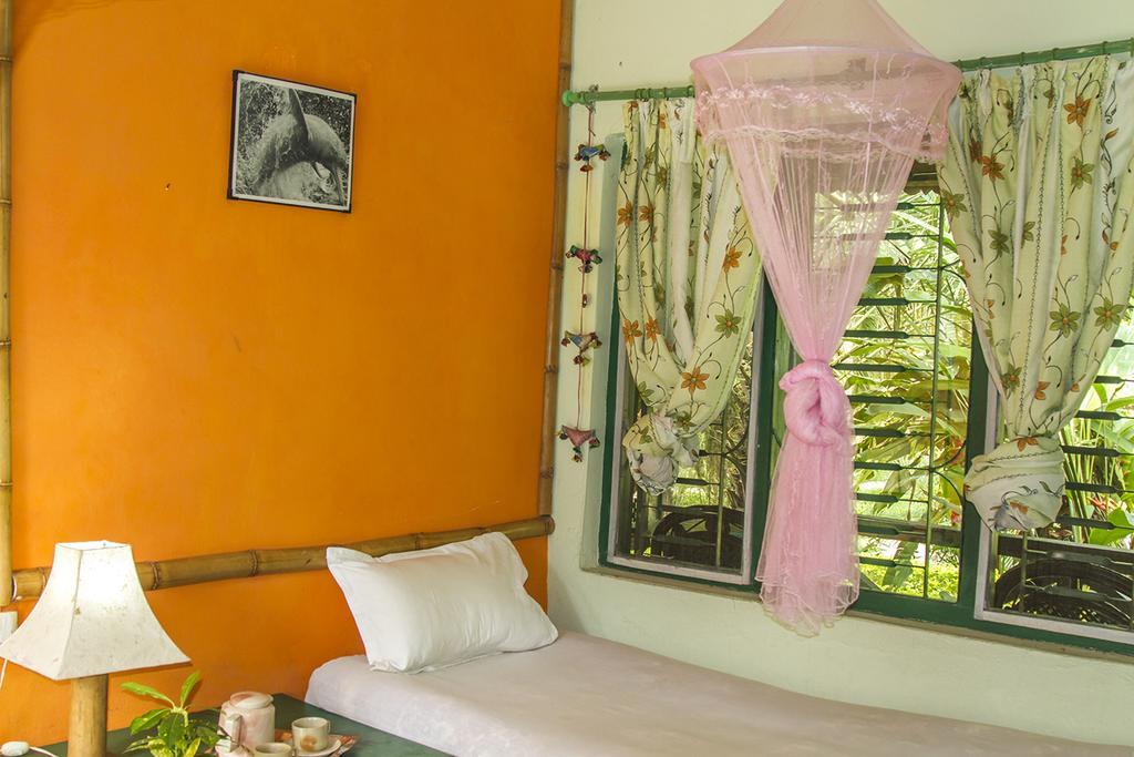 Gallery Image Of  Wild Trak Adventure