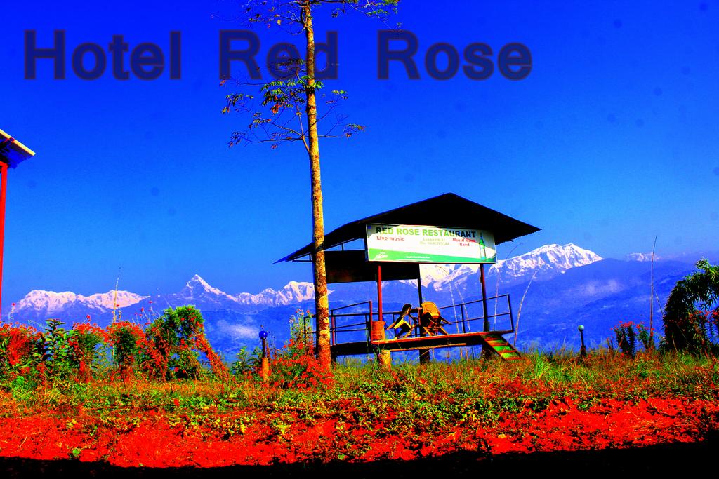 Gallery Image Of Hotel Red Rose