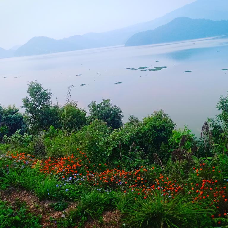 Gallery Image Of Begnas Lake front guest house