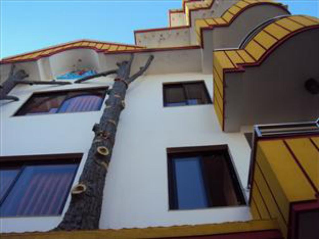 Gallery Image Of Hotel Tree House