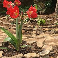 Gallery Image Of Agro Organic Cafe Hotel and Lodge