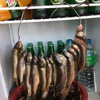 Gallery Image Of Agro Organic Cafe Hotel and Lodge