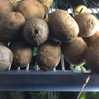 Gallery Image Of Agro Organic Cafe Hotel and Lodge